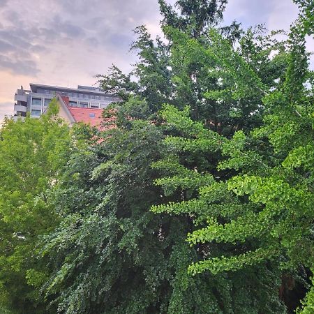 Privatzimmer An Der Uniklinik Mainz Kültér fotó