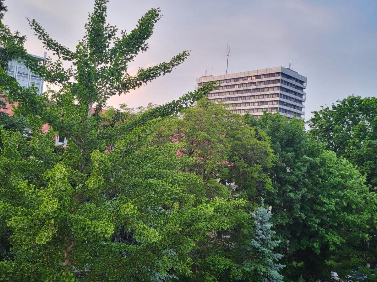 Privatzimmer An Der Uniklinik Mainz Kültér fotó